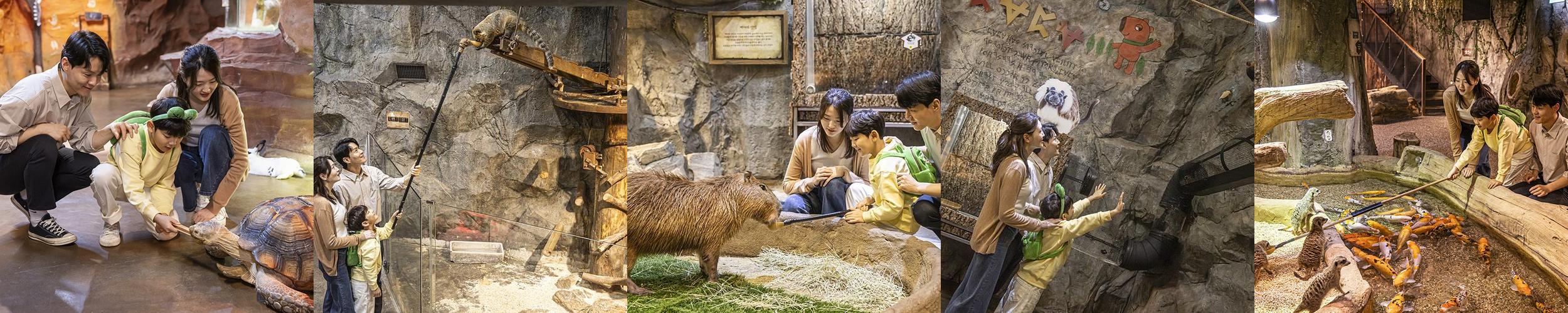 주렁주렁 동물원 하남점: 가족 단위 방문객을 위한 실내 동물원