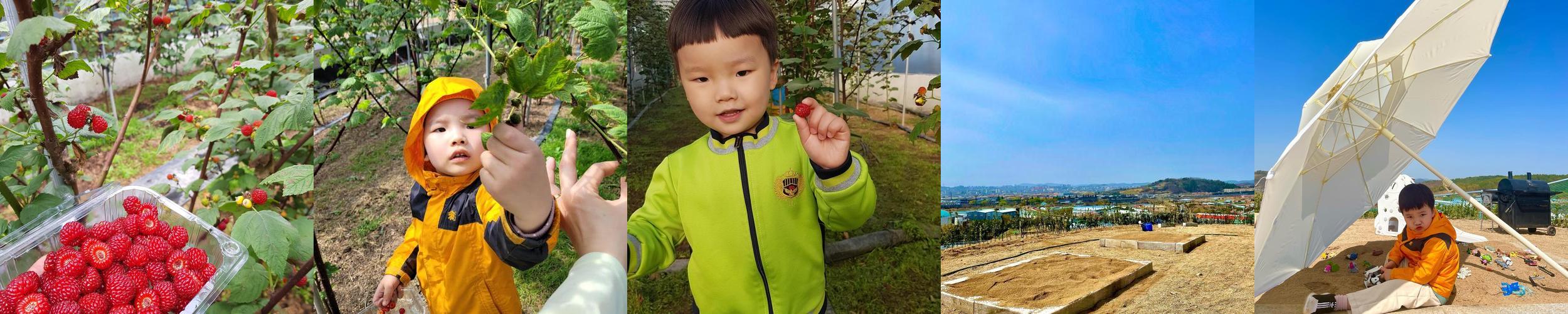 대구 경북 가볼만한곳 베스트 추천 TOP 10 대구 경북 가볼만한곳 베스트 추천 TOP 10