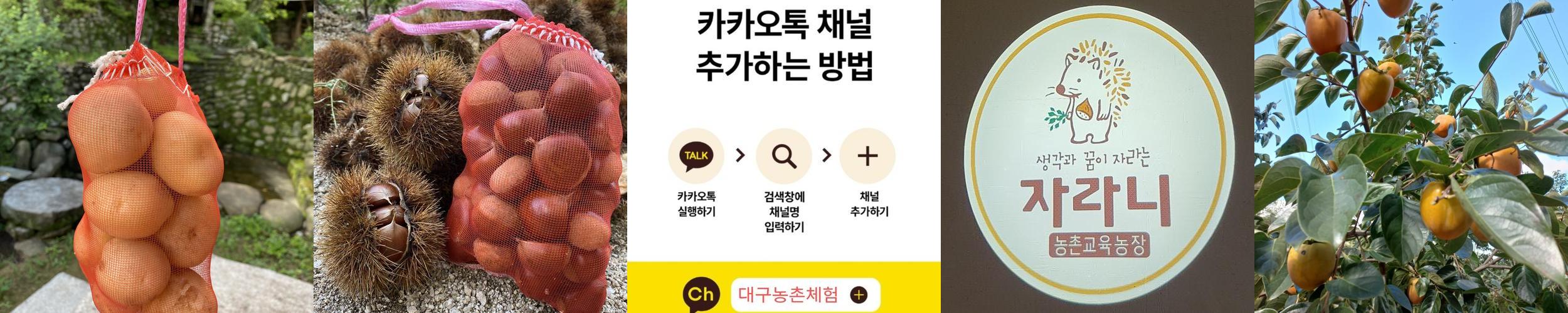 대구 경북 가볼만한곳 베스트 추천 TOP 10 대구 경북 가볼만한곳 베스트 추천 TOP 10