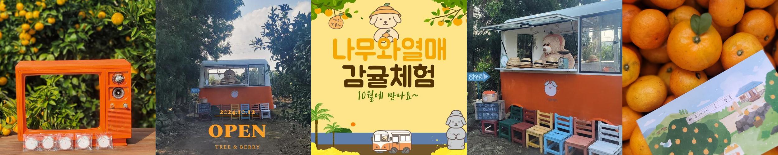 제주 아이와 가볼만한곳 베스트 추천 TOP 10