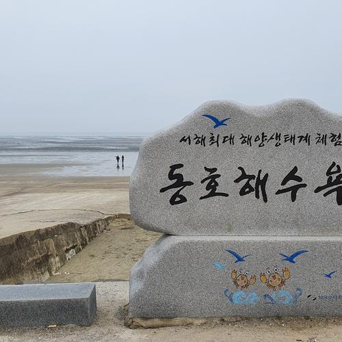 동호해수욕장: 서해의 아름다운 해변
