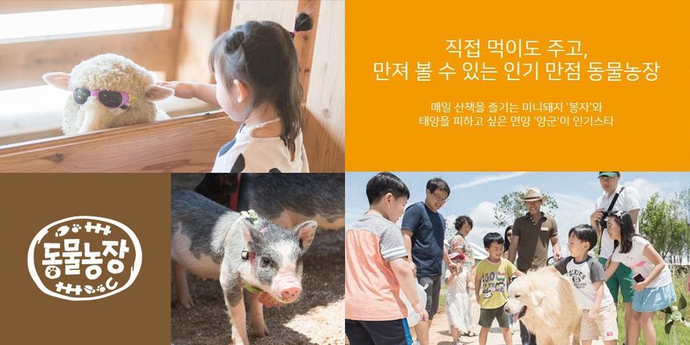 상하농원 동물농장: 가족과 함께하는 즐거운 체험