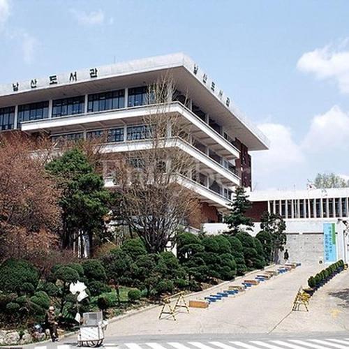 남산: 서울의 중심에서 자연과 함께하는 공간