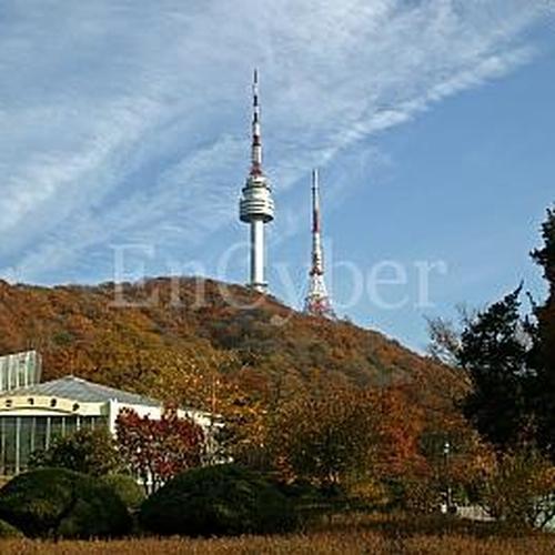 서울 명동 가볼만한곳 베스트 추천 TOP 10