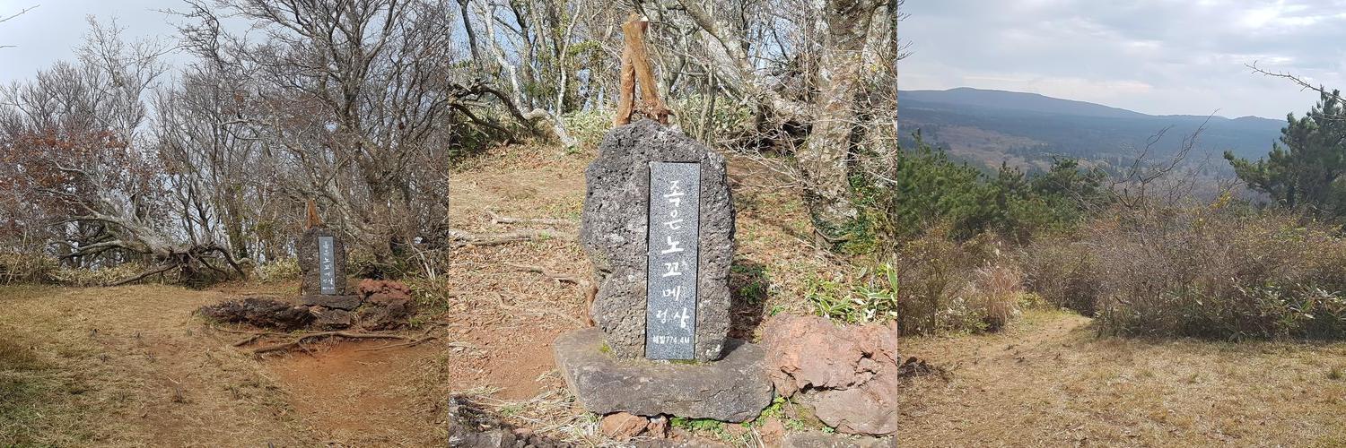 제주도 애월 가볼만한곳 베스트 추천 TOP 10