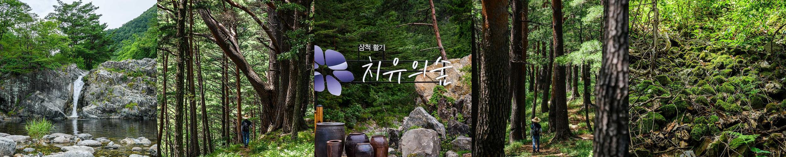 강원도 삼척 가볼만한곳 베스트 추천 TOP 10