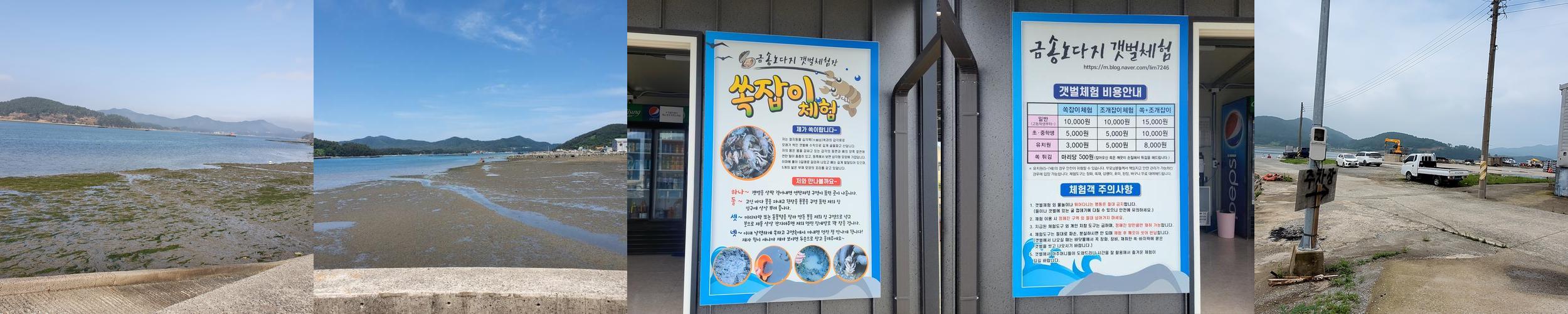 금송노다지 갯벌체험: 가족과 함께하는 자연 체험