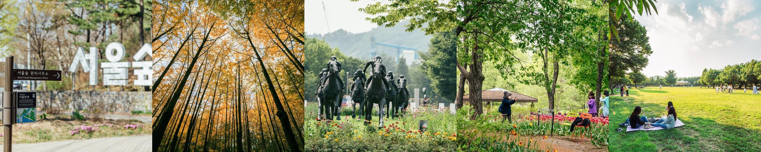 서울숲: 도심 속 자연의 힐링 공간