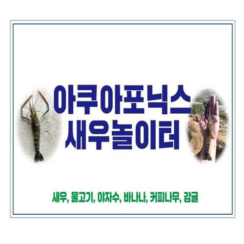 아쿠아포닉스새우놀이터: 가족과 함께하는 즐거운 체험 아쿠아포닉스새우놀이터: 가족과 함께하는 즐거운 체험