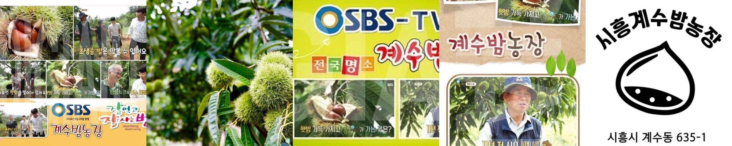 수도권 가볼만한곳 베스트 추천 TOP 10