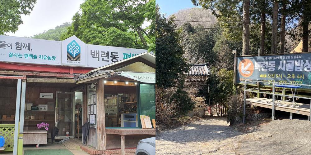 백련동편백농원: 건강한 시골밥상과 자연의 조화