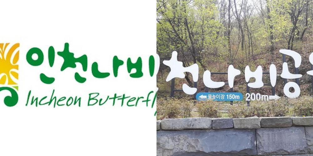 인천 나비공원: 도심 속 자연의 쉼터|인천 부평 가볼만한곳 추천 인천 나비공원: 도심 속 자연의 쉼터