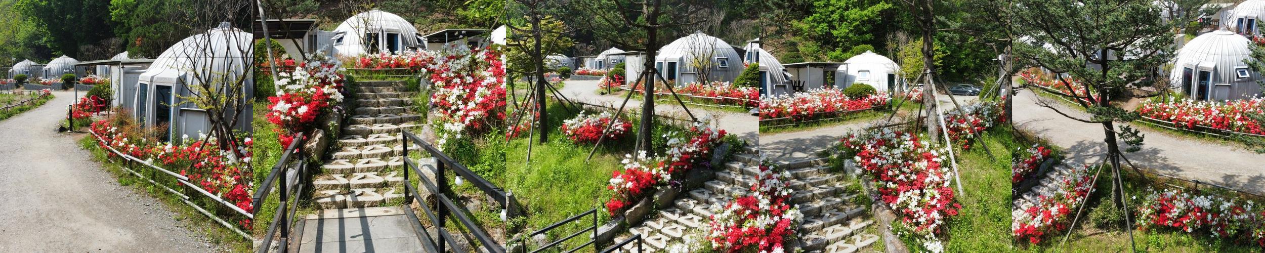 햇골글램핑: 용인에서의 특별한 글램핑 경험