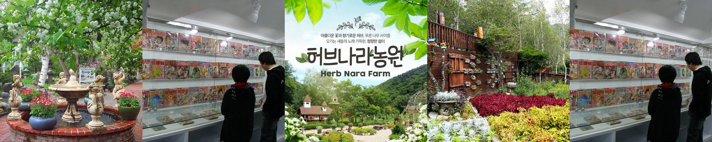 강원도 가볼만한곳 베스트 추천 TOP 10