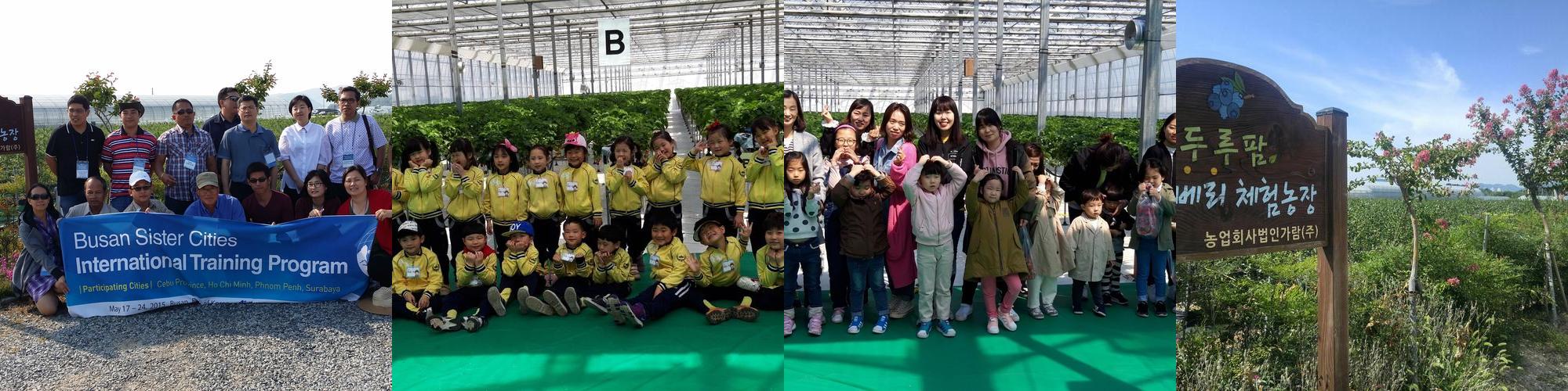 두루팜: 부산 강서구 가족 체험 농장