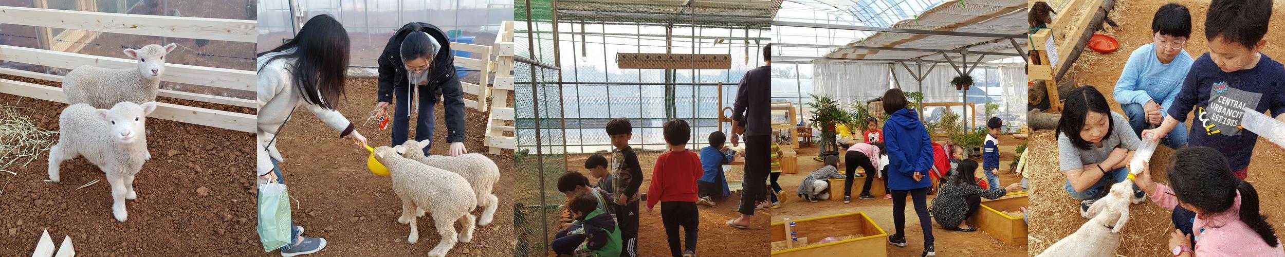 경기도 아이들과 가볼만한곳 베스트 추천 TOP 10
