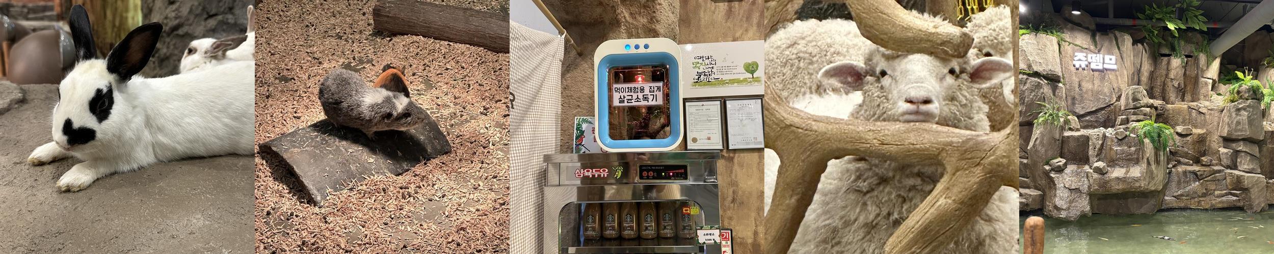 쥬뗌므 키즈랜드: 아이들과 함께하는 실내 동물원