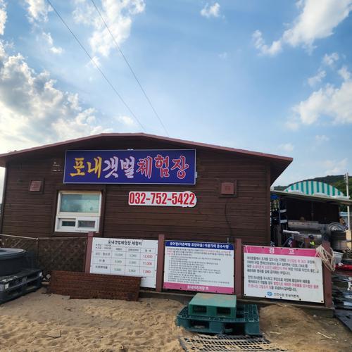 포내 갯벌체험장: 서울 근교에서 즐기는 해양 체험