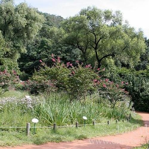아차산: 서울 근교의 아름다운 자연