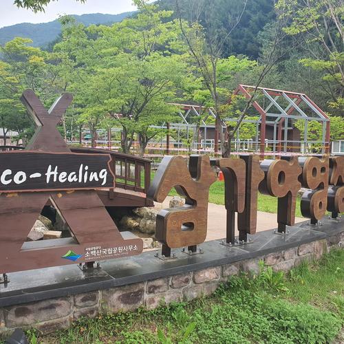 영주 가볼만한곳 베스트 추천 TOP 10