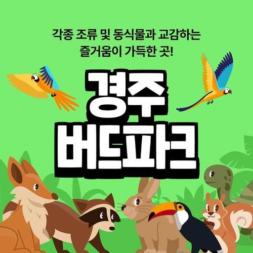 경주 버드파크: 가족과 함께하는 즐거운 체험