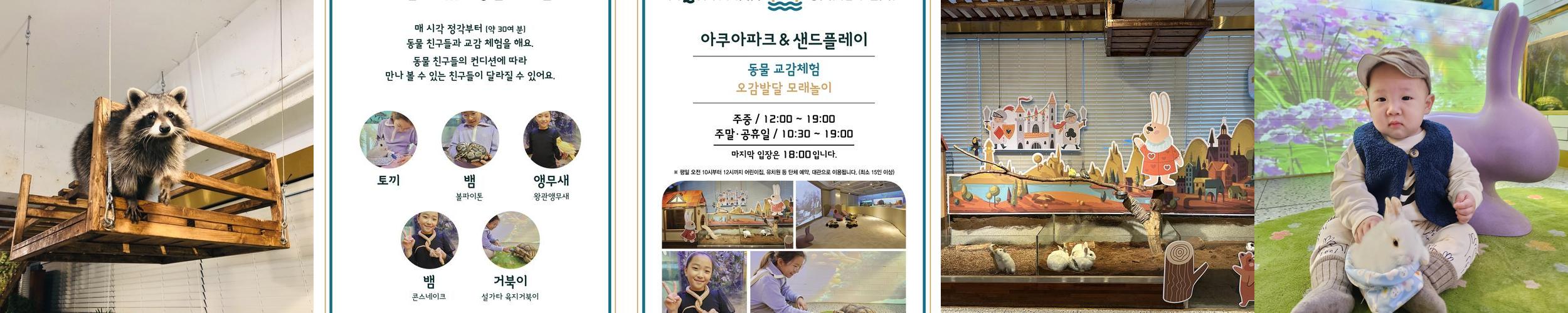 아쿠아파크&샌드플레이: 아이와 함께 즐기는 실내 놀이 공간