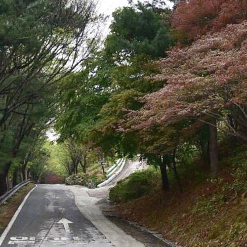 칠곡 가볼만한곳 베스트 추천 TOP 10