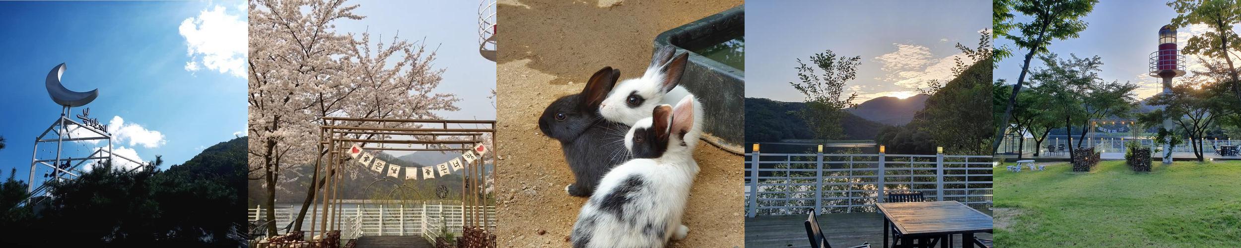 복만네: 아이와 함께하는 동물 체험 카페