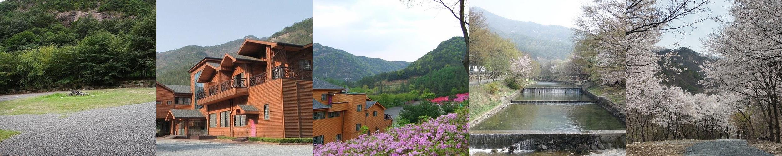 고산자연휴양림: 가족과 함께하는 자연 속 휴식