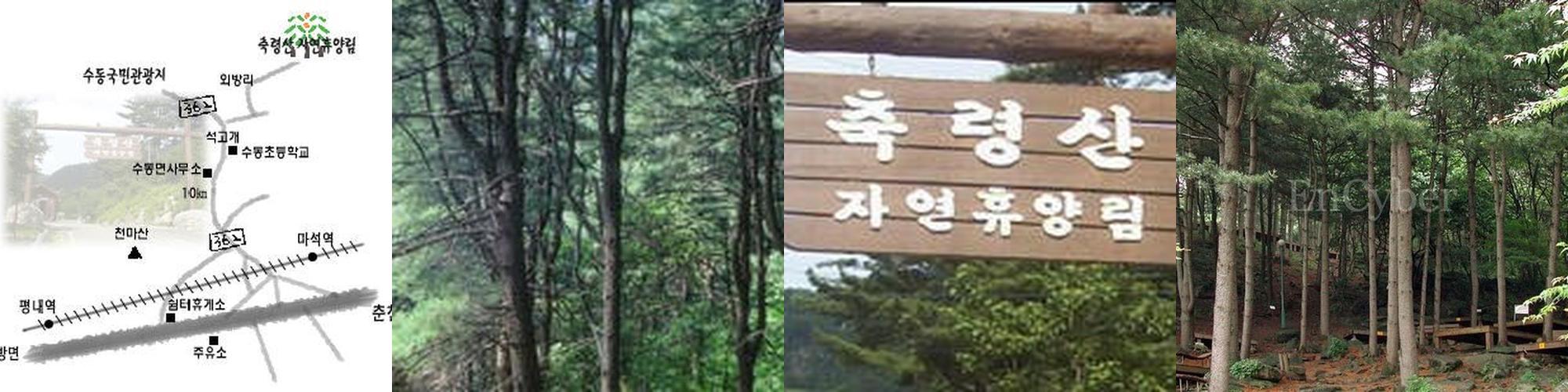 남양주 놀거리 베스트 추천 TOP 10