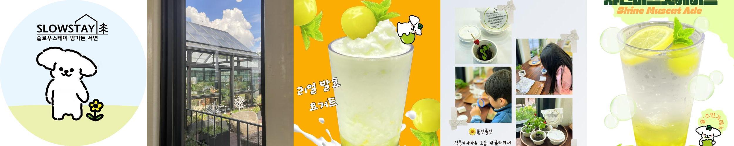 슬로우스테이 서면: 자연과 함께하는 농촌 체험 카페|서천 가볼만한곳 추천 슬로우스테이 서면: 자연과 함께하는 농촌 체험 카페