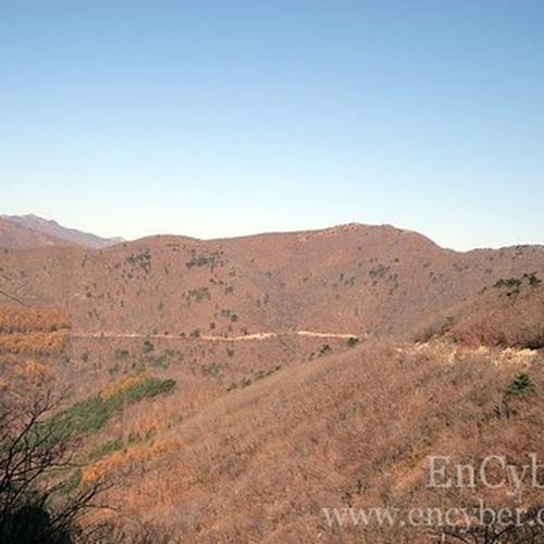 울산 갈만한곳 베스트 추천 TOP 10