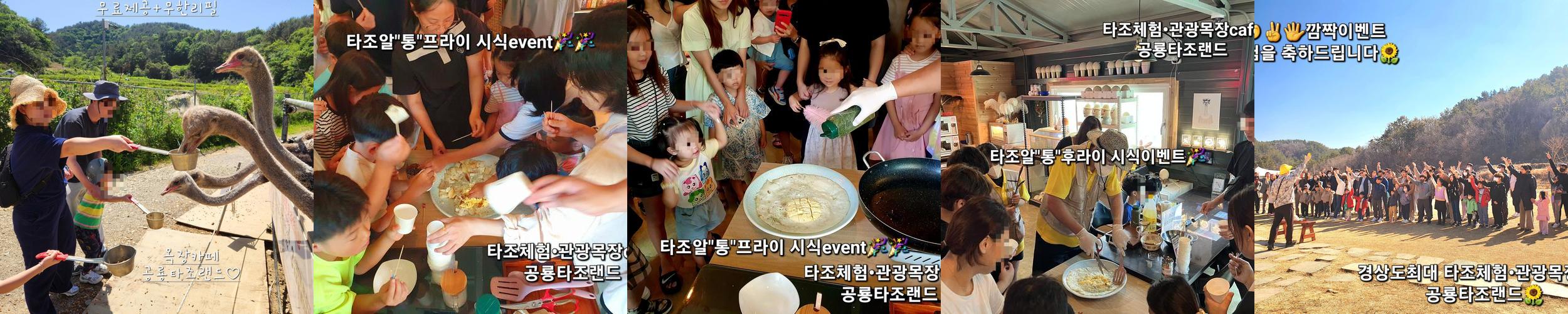 공룡타조랜드: 가족과 함께하는 즐거운 체험
