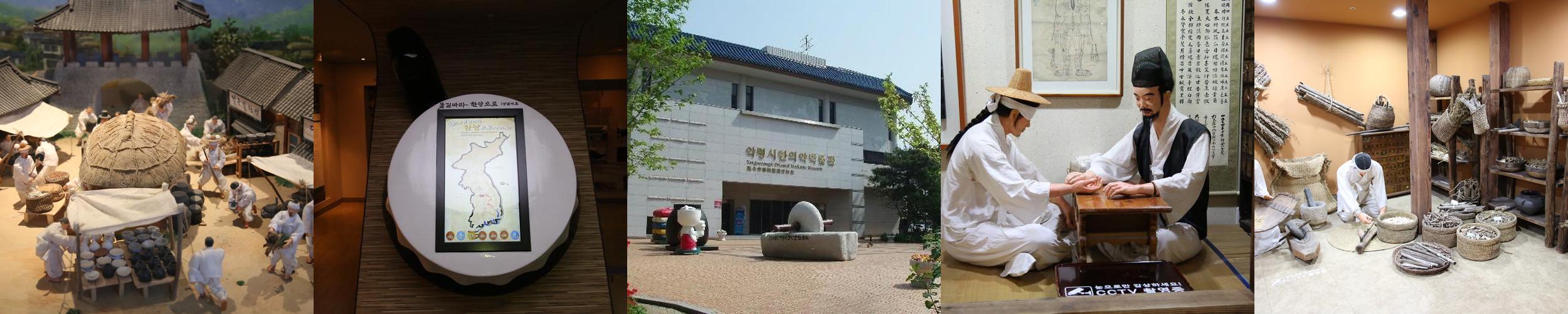 대구약령시한의약박물관: 대구의 전통 한의학 체험 공간