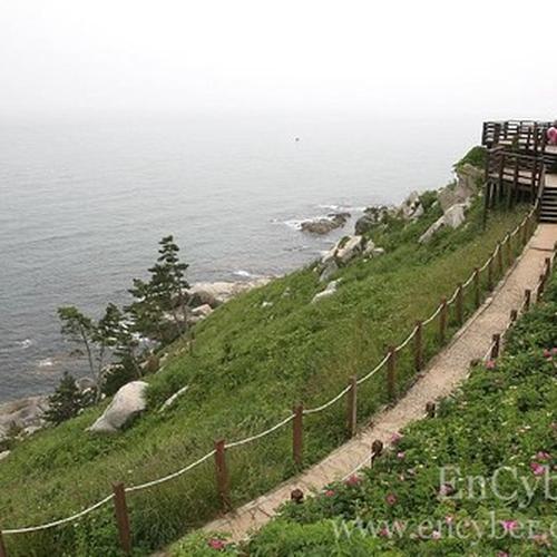 영덕 갈만한곳 베스트 추천 리스트 TOP 10