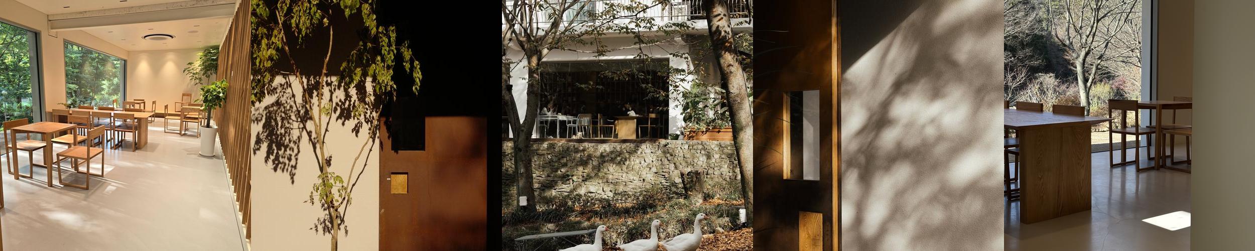 세시라기: 숲속 북카페에서의 여유로운 시간|창원 근처 가볼만한곳 추천 세시라기: 숲속 북카페에서의 여유로운 시간