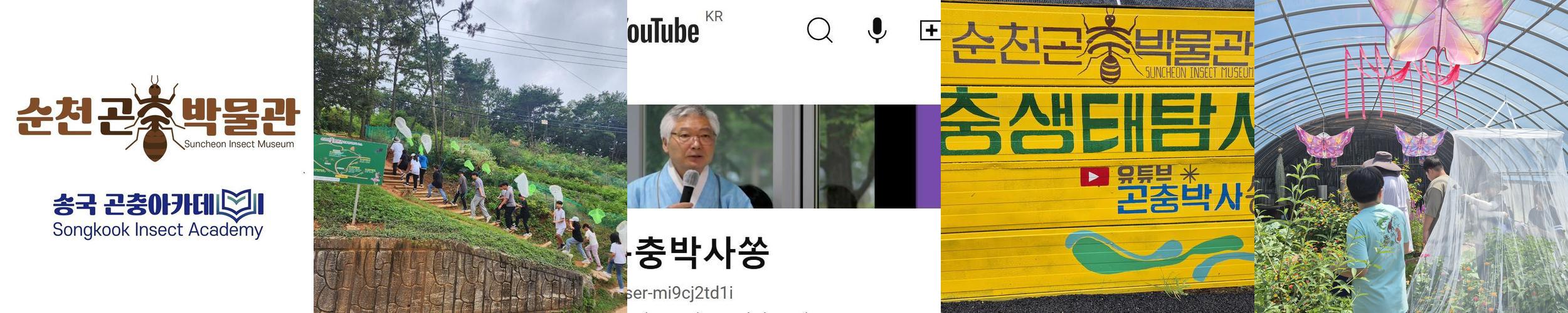 전남 순천 가볼만한곳 베스트 추천 리스트 TOP 10