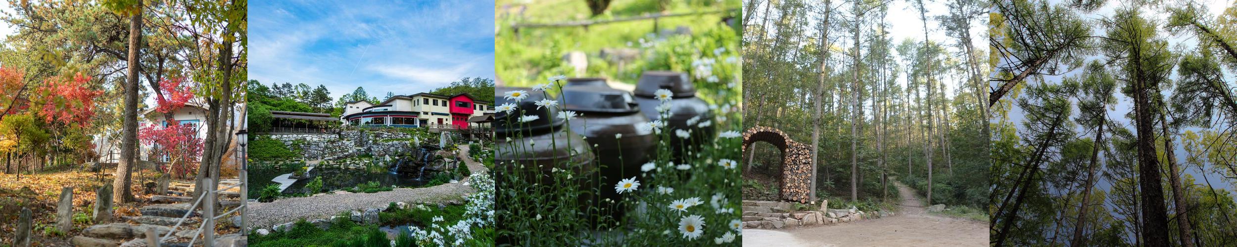 충주 갈만한곳 베스트 추천 리스트 TOP 10 충주 갈만한곳 베스트 추천 리스트 TOP 10