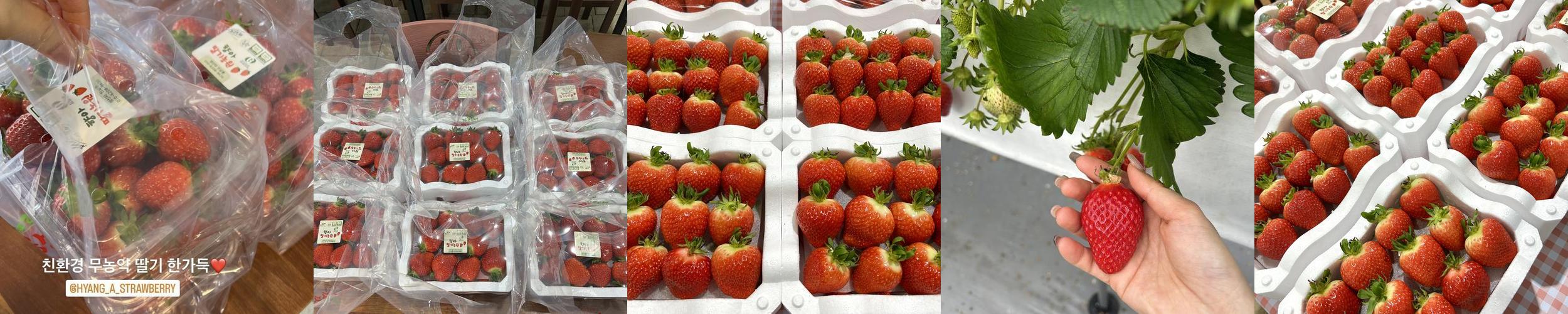 경기광주 놀거리 베스트 추천 리스트 TOP 10