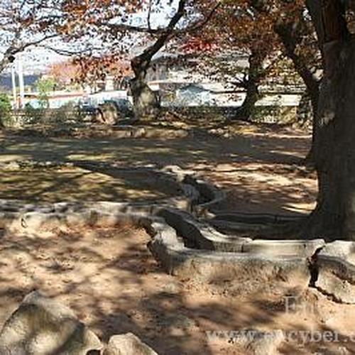 경주 가볼만한곳 베스트 추천 리스트 TOP 10