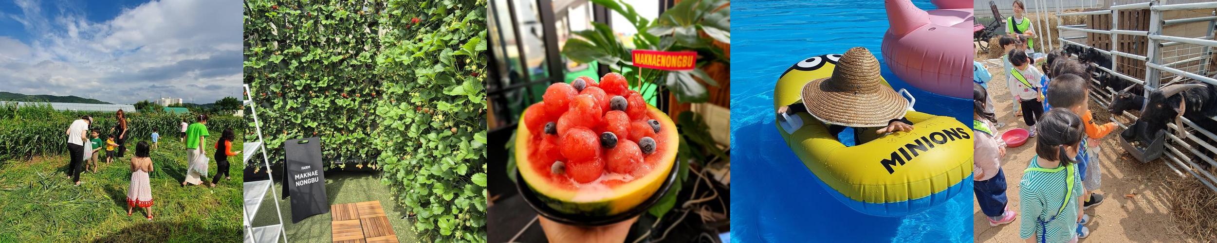 경주 가볼만한곳 베스트 추천 리스트 TOP 10