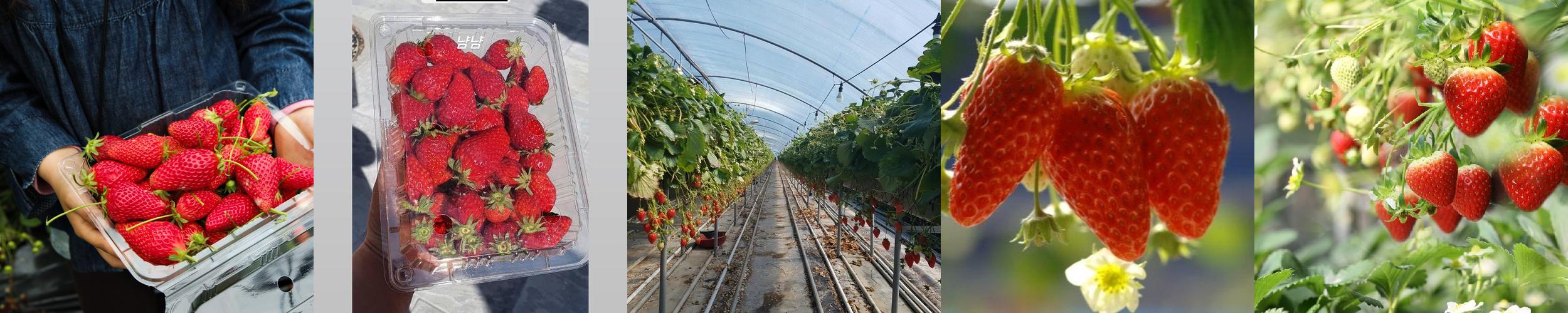 경남 아이랑 가볼만한곳 베스트 추천 리스트 TOP 10 경남 아이랑 가볼만한곳 베스트 추천 리스트 TOP 10