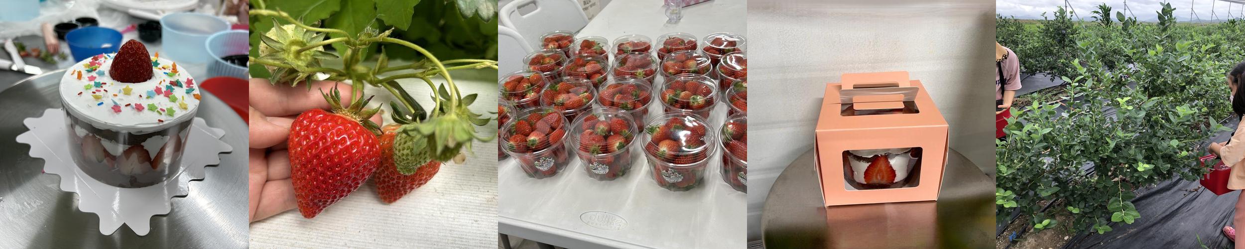 나주 갈만한곳 베스트 추천 리스트 TOP 10