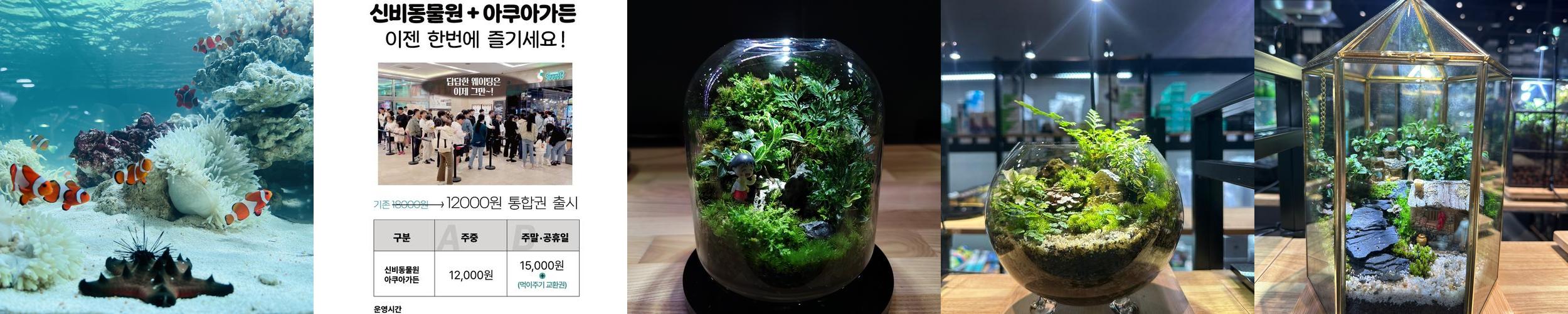 가평 데이트 베스트 추천 리스트 TOP 10