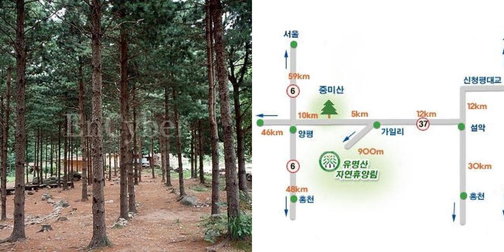 가평 갈만한곳 베스트 추천 리스트 TOP 10