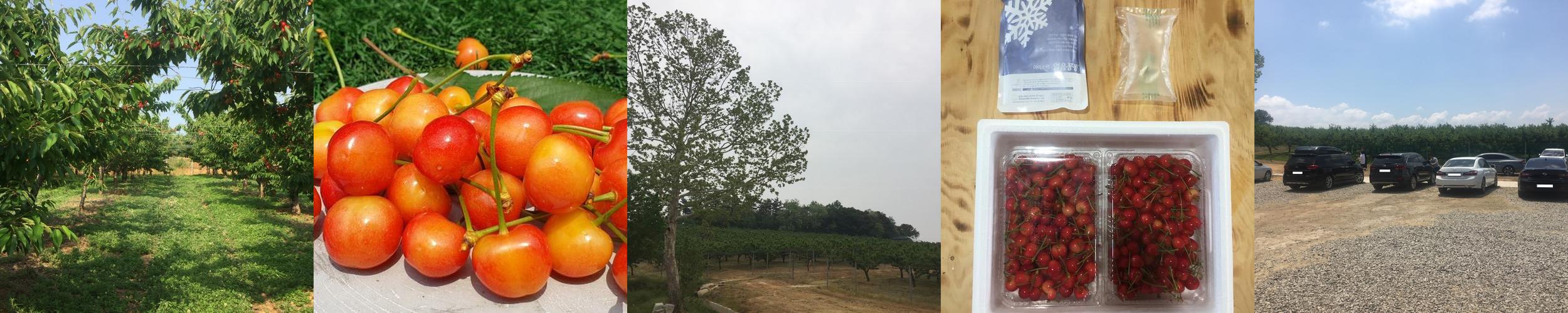 충남 예산 가볼만한곳 베스트 추천 리스트 TOP 10