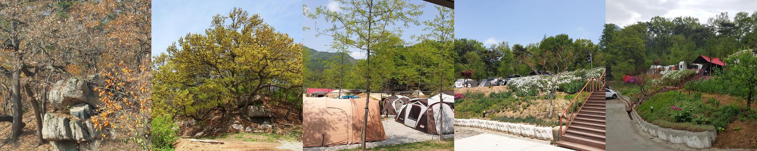 충남 예산 가볼만한곳 베스트 추천 리스트 TOP 10