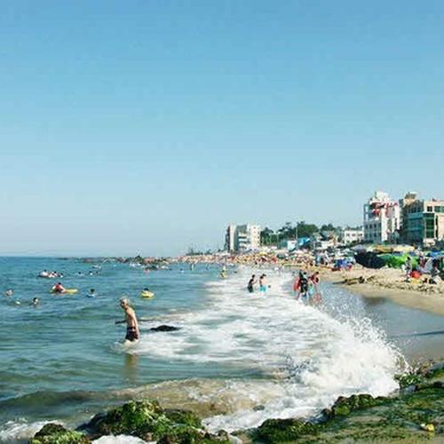 묵호 가볼만한곳 베스트 추천 리스트 TOP 10 묵호 가볼만한곳 베스트 추천 리스트 TOP 10