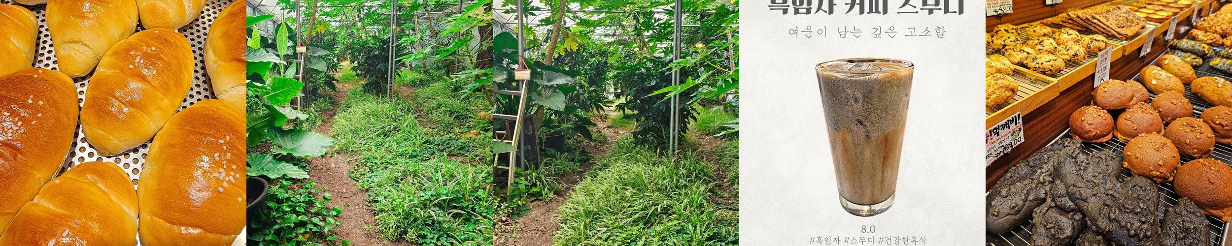 과천 가볼만한곳 베스트 추천 리스트 TOP 10