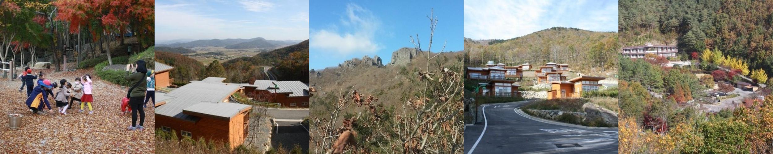 전남 갈만한곳 베스트 추천 리스트 TOP 10 전남 갈만한곳 베스트 추천 리스트 TOP 10